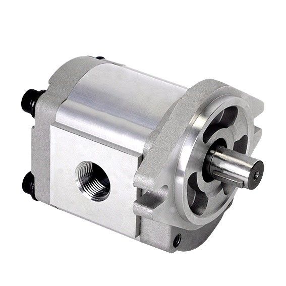 Excavator Spare Parts মাইক্রো ট্রান্সফার তেল ট্রান্সফার মাইক্রো হাইড্রোলিক তেল গিয়ার পাম্প ডিজেলের জন্য