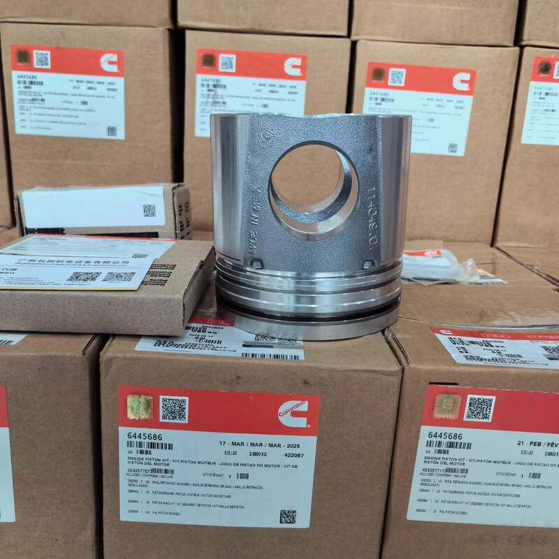 Excavator Engine Parts QSC8.3 পিস্টন উপাদান
পার্ট নম্বর ৬৪৪৫৬৮৬ ৬সিটি ৩৯৪৩৩৬৭ ৩৮০০৩২০ পিস্টন কিট