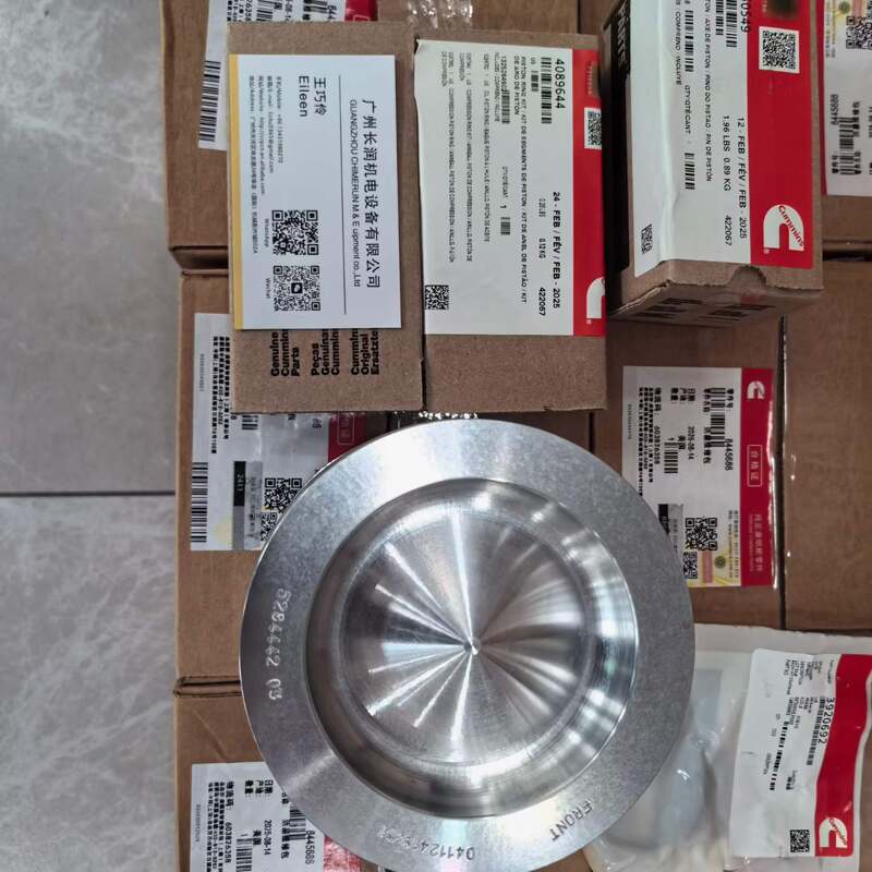 Excavator Engine Parts QSC8.3 পিস্টন উপাদান
পার্ট নম্বর ৬৪৪৫৬৮৬ ৬সিটি ৩৯৪৩৩৬৭ ৩৮০০৩২০ পিস্টন কিট